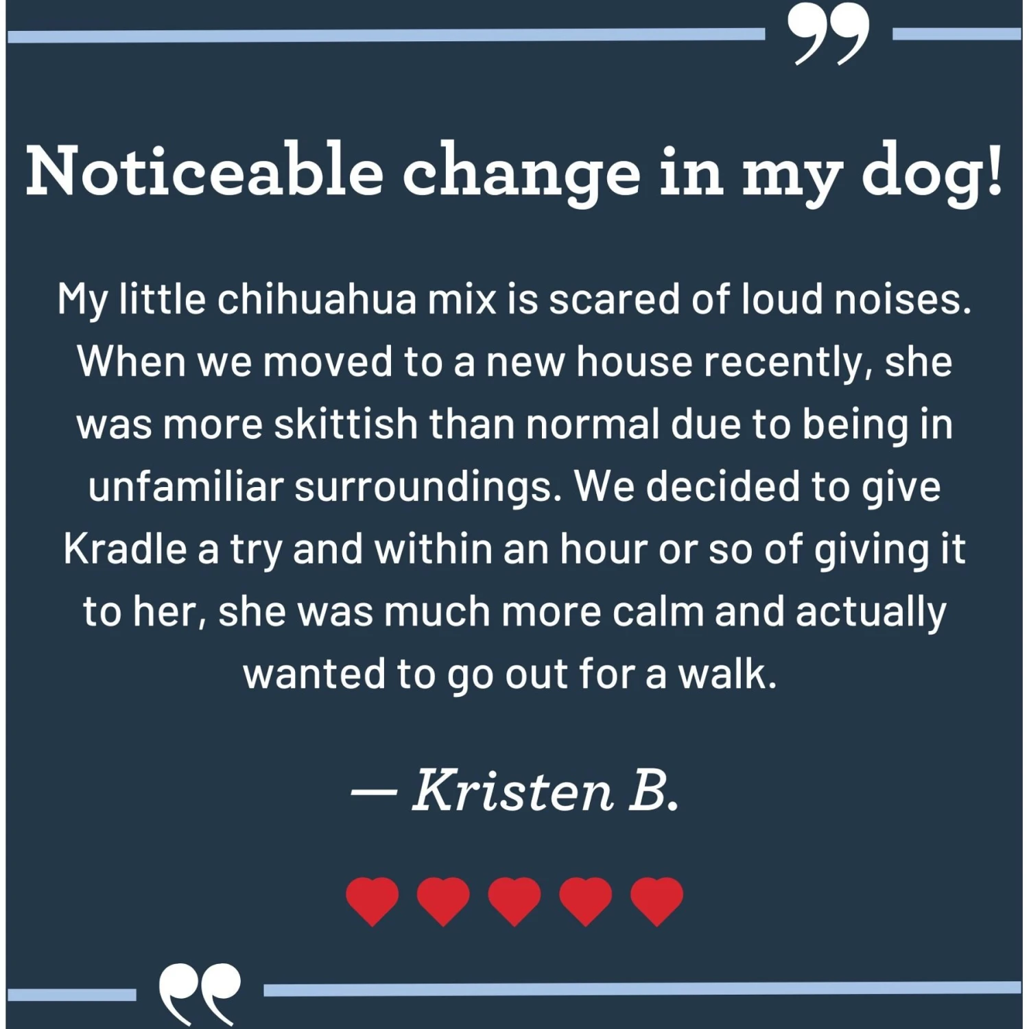 Kradle Calming Chews Chicken Flavored Soft Chew Supplement For Dogs, 75 Count 5 Kradle Calming Chews Chicken Flavored Soft Chew Supplement For Dogs, 75 Count - Image 5