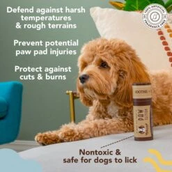 Natural Dog Company PawTection Dog Paw Protector Balm, 2-oz Stick 9 Natural Dog Company PawTection Dog Paw Protector Balm, 2-oz Stick -Pet Wellness 843454 PT2. AC SS1800 V1701881411