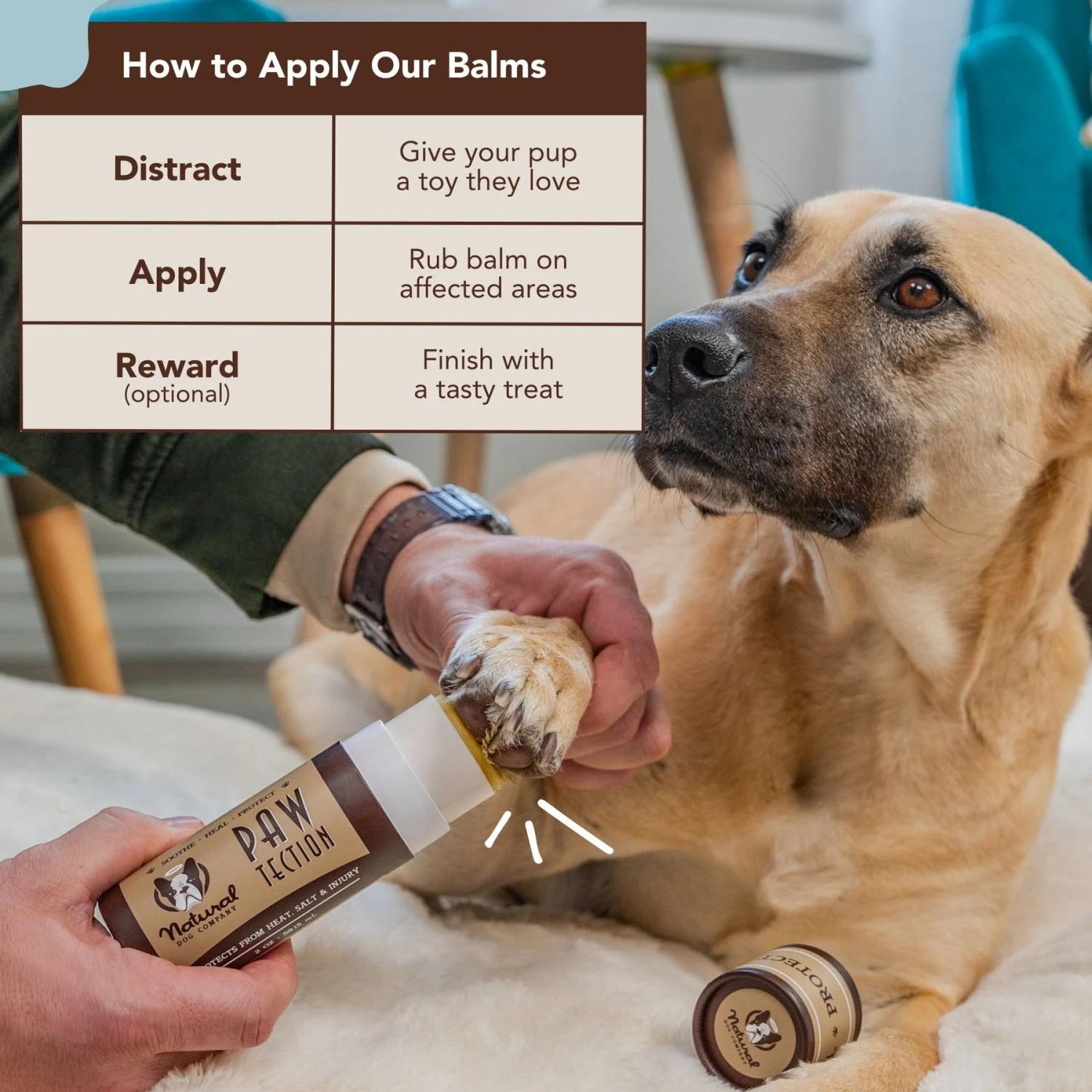 Natural Dog Company PawTection Dog Paw Protector Balm, 2-oz Stick 4 Natural Dog Company PawTection Dog Paw Protector Balm, 2-oz Stick - Image 4