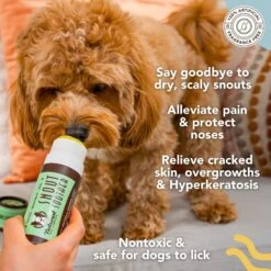 Natural Dog Company Snout Soother Dog Healing Balm, 2-oz Stick -Pet Wellness 843486 PT2. AC SS1800 V1701882249