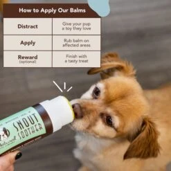Natural Dog Company Snout Soother Dog Healing Balm, 2-oz Stick -Pet Wellness 843486 PT3. AC SS1800 V1701882132