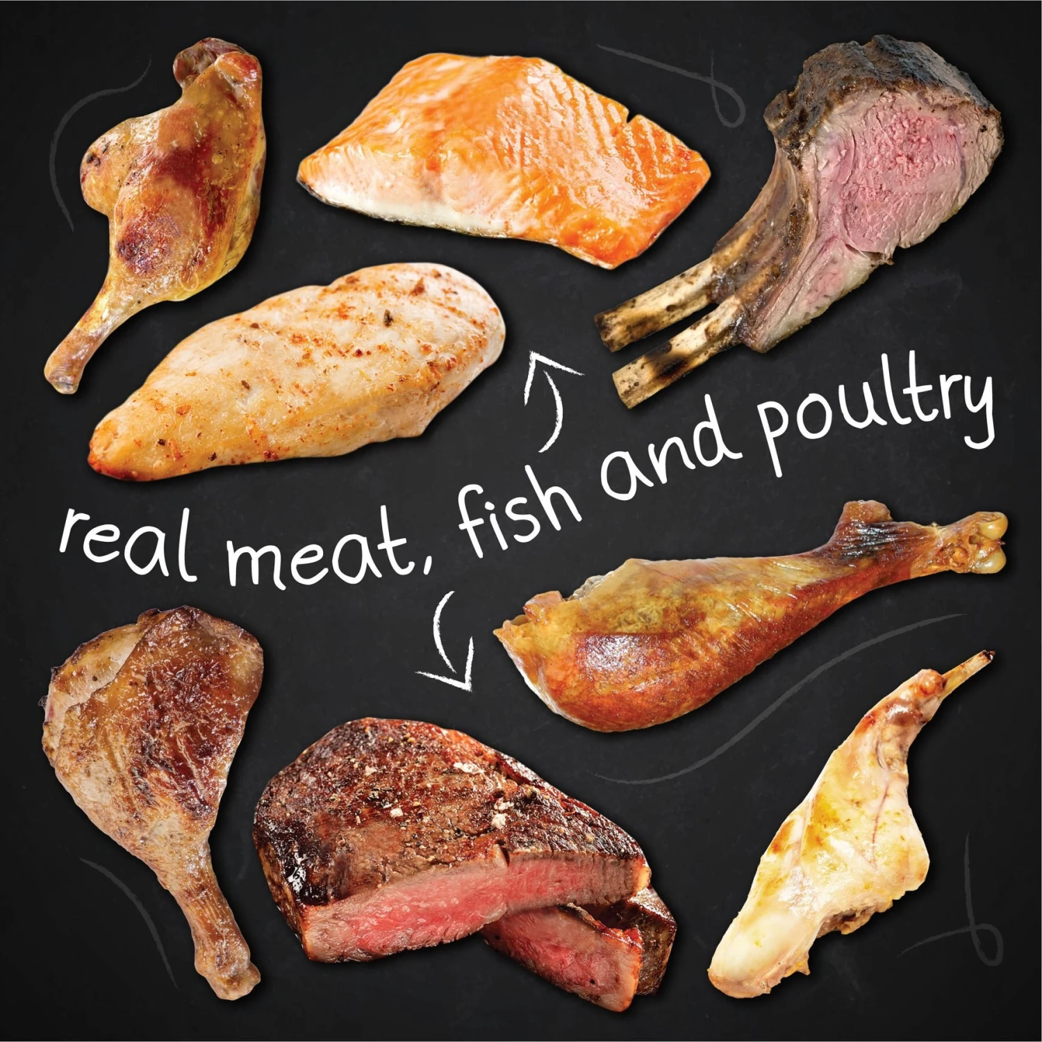 Hound & Gatos Pork & Pork Liver Dog Wet Food, 13-oz Can, 12 Count 4 Hound & Gatos Pork & Pork Liver Dog Wet Food, 13-oz Can, 12 Count - Image 4