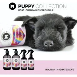 Melanie Newman Puppy Dog Cologne 7 Melanie Newman Puppy Dog Cologne -Pet Wellness 844262 PT3. AC SS1800 V1700161900