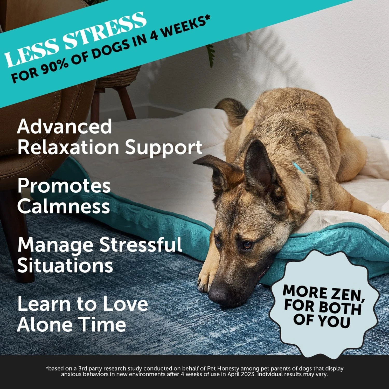 PetHonesty Calming Max Strength Turkey Flavored Soft Chews Calming Supplement For Dogs, 90 Count 2 PetHonesty Calming Max Strength Turkey Flavored Soft Chews Calming Supplement For Dogs, 90 Count - Image 2