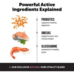 PetHonesty Multivitamin 10-in-1 Chicken Flavored Soft Chews Multivitamin For Dogs, 180 Count -Pet Wellness 845422 PT4. AC SS1800 V1701186354