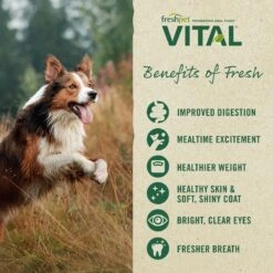 Freshpet Vital Chicken, Beef, Salmon & Egg Recipe Grain-Free Fresh Dog Food, 2 + Freshpet Vital Fresh Cuts Chicken Recipe Fresh Dog Food, 2 -Pet Wellness 845654 PT8. AC SS1800 V1682953279