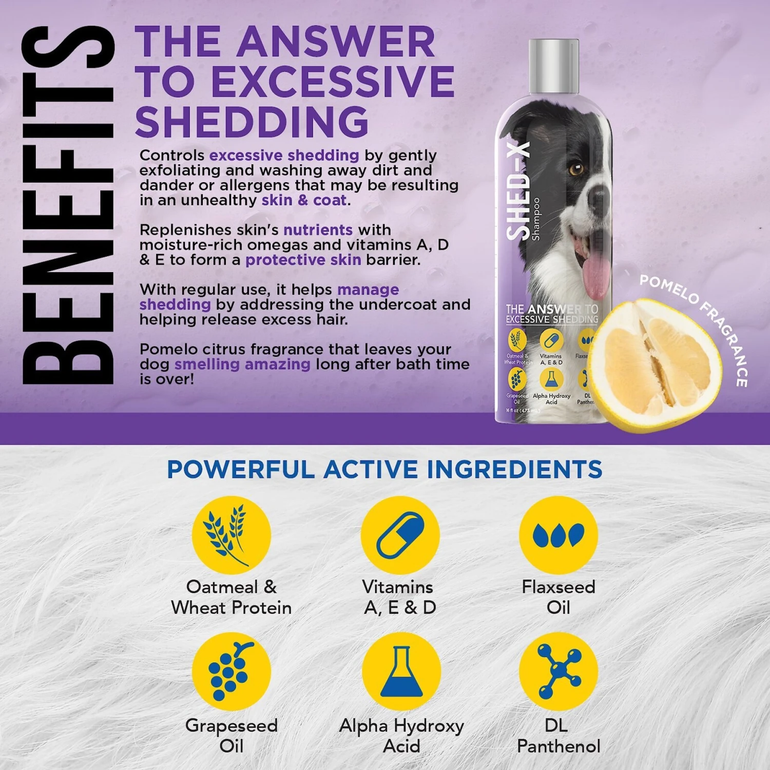 Shed-X Shed Control Shampoo For Dogs 3 Shed-X Shed Control Shampoo For Dogs - Image 3