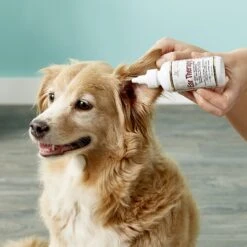 Dr. Gold's Ear Therapy For Dogs & Cats 11 Dr. Gold's Ear Therapy For Dogs & Cats -Pet Wellness 84652 PT3. AC SS1800 V1543360329