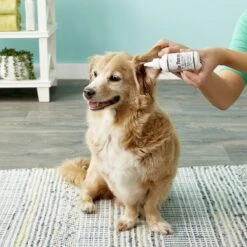 Dr. Gold's Ear Therapy For Dogs & Cats 15 Dr. Gold's Ear Therapy For Dogs & Cats -Pet Wellness 84652 PT8. AC SS1800 V1543360345