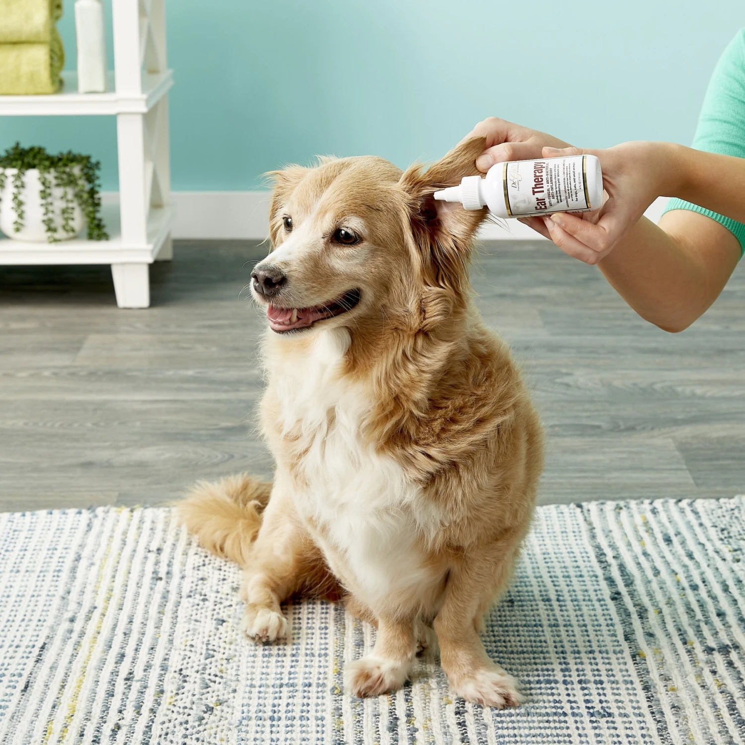 Dr. Gold's Ear Therapy For Dogs & Cats 8 Dr. Gold's Ear Therapy For Dogs & Cats - Image 8