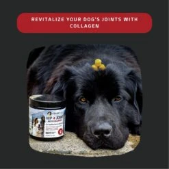 PointPet Hip + Joint With Collagen Beef Flavored Dog Supplement, 90 Count 11 PointPet Hip + Joint With Collagen Beef Flavored Dog Supplement, 90 Count -Pet Wellness 846790 PT5. AC SS1800 V1686849591