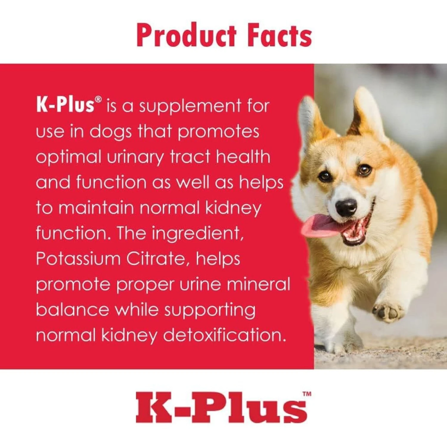 K-Plus Potassium Citrate Plus Cranberry Granules For Dogs & Cats 9 K-Plus Potassium Citrate Plus Cranberry Granules For Dogs & Cats - Image 9