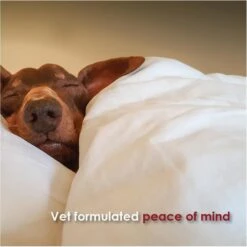 TranQuil Chews Calming Dog Supplement -Pet Wellness 84730 PT2. AC SS1800 V1679952554