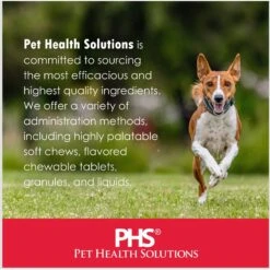 TranQuil Chews Calming Dog Supplement -Pet Wellness 84730 PT8. AC SS1800 V1680029408