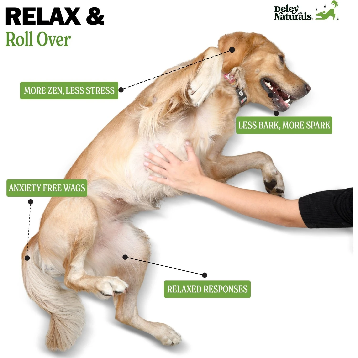 Deley Naturals Advanced Calming Chicken Flavor Dog Supplement, 17-oz Bag, 120 Count 2 Deley Naturals Advanced Calming Chicken Flavor Dog Supplement, 17-oz Bag, 120 Count - Image 2