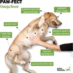 Deley Naturals Fish Oil Dog Supplement -Pet Wellness 847478 PT3. AC SS1800 V1703619679