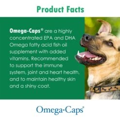 Omega-Caps Softgel Capsules For Cats & Small Dogs -Pet Wellness 84772 PT5. AC SS1800 V1679690317
