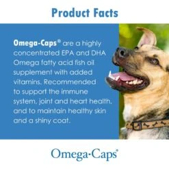 Omega-Caps Softgel Capsules For Medium Dog Breeds 14 Omega-Caps Softgel Capsules For Medium Dog Breeds -Pet Wellness 84774 PT5. AC SS1800 V1679690800