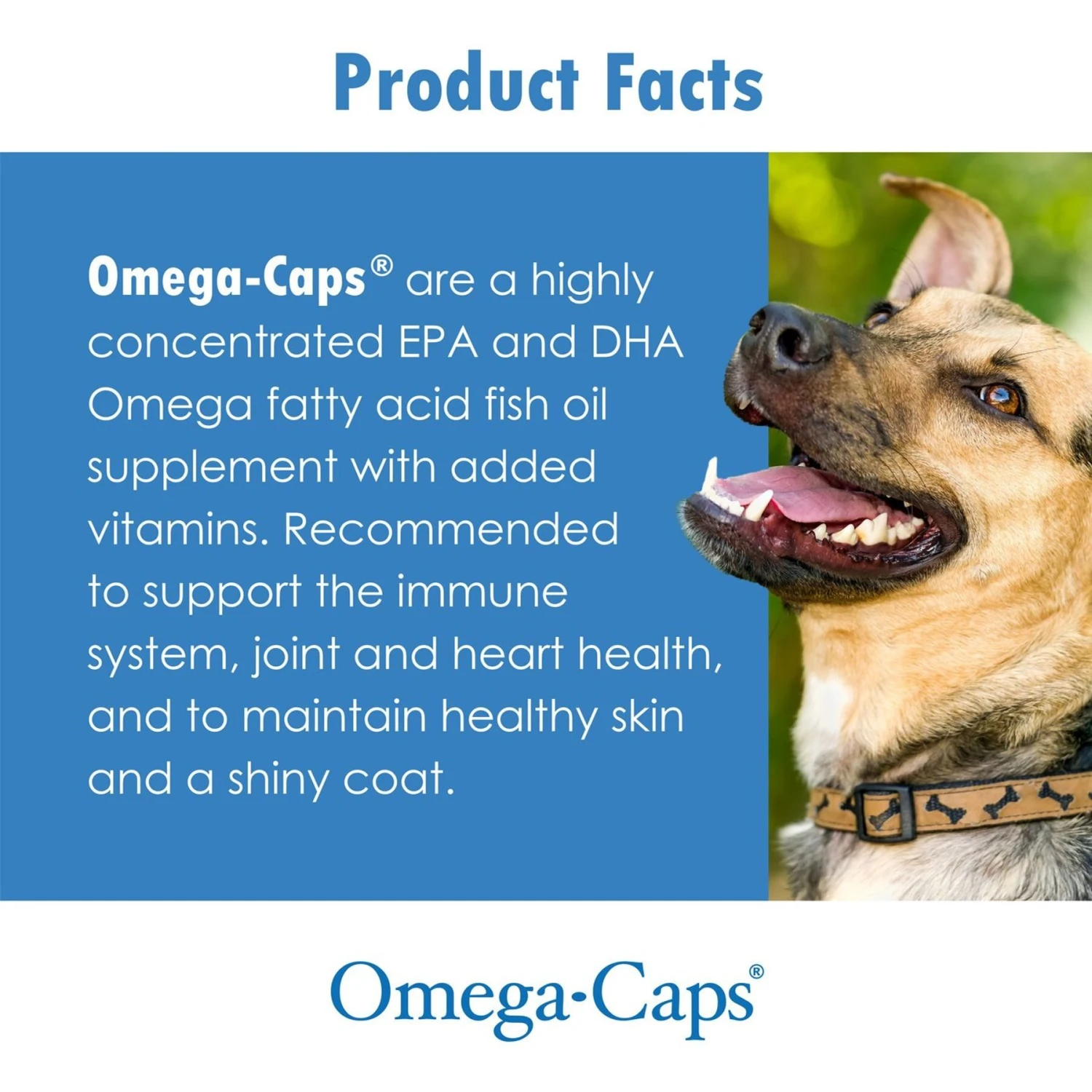 Omega-Caps Softgel Capsules For Medium Dog Breeds 6 Omega-Caps Softgel Capsules For Medium Dog Breeds - Image 6