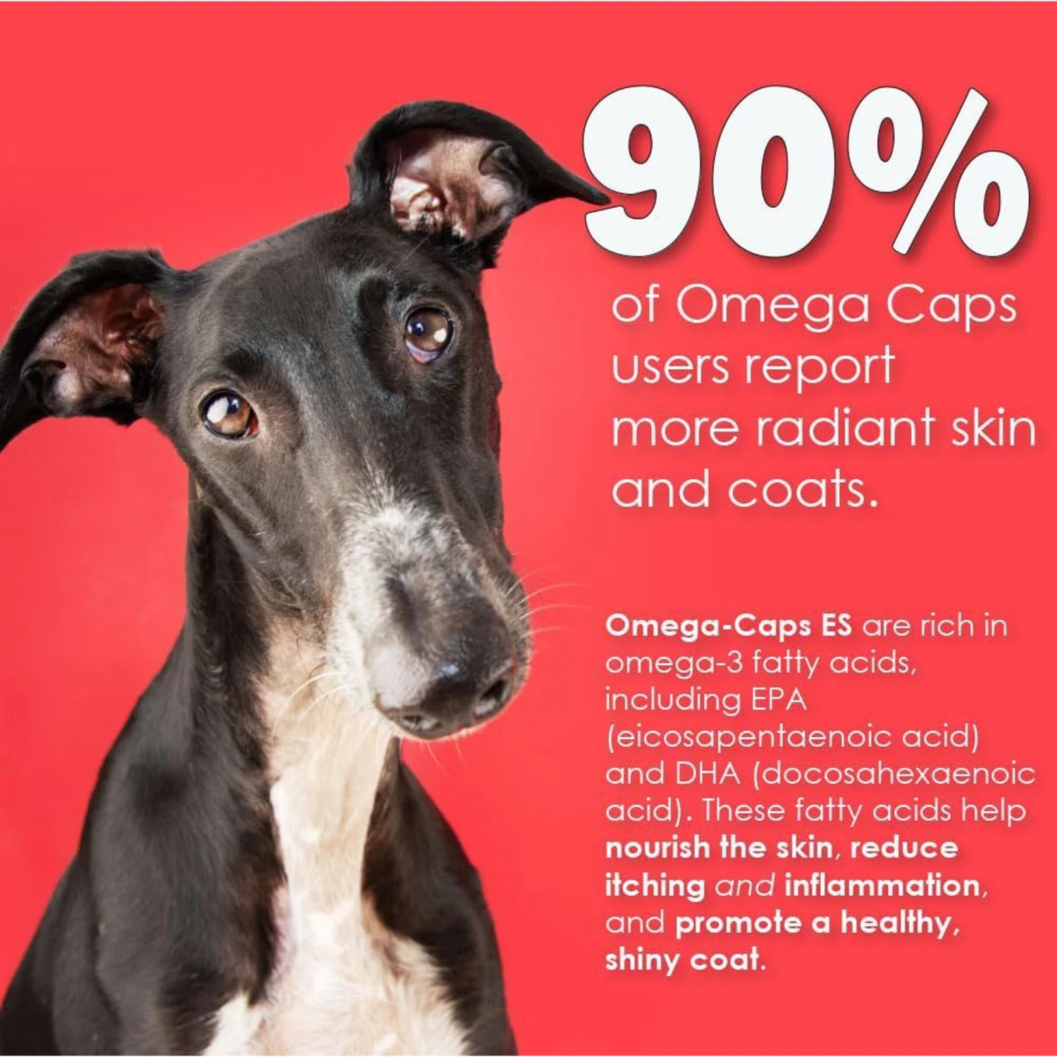 Omega-Caps Softgel Capsules Extra Strength For Large Dogs 5 Omega-Caps Softgel Capsules Extra Strength For Large Dogs - Image 5