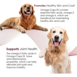 Omega-Caps Softgel Capsules Extra Strength For Large Dogs 15 Omega-Caps Softgel Capsules Extra Strength For Large Dogs -Pet Wellness 84776 PT6. AC SS1800 V1679927341