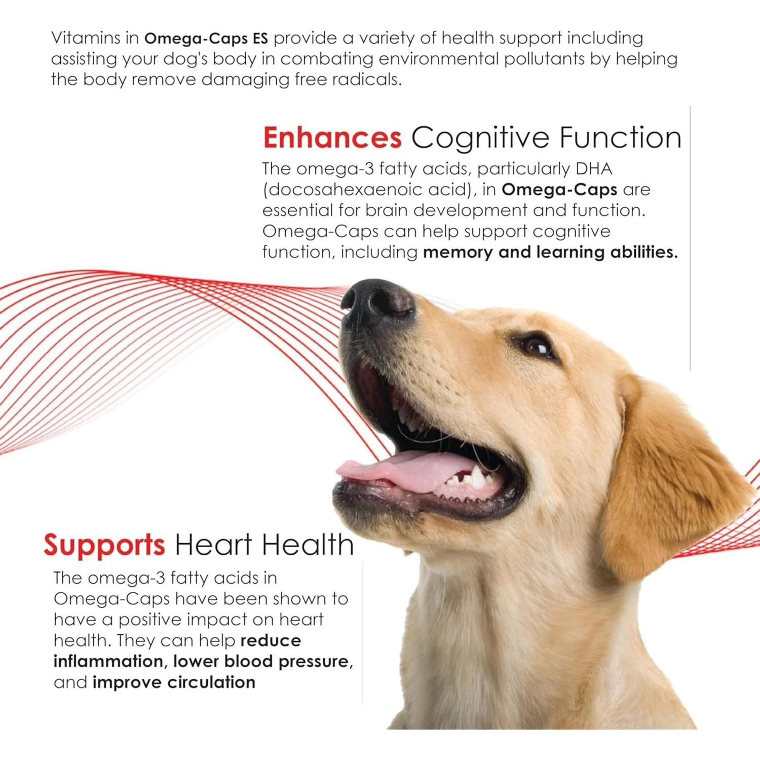 Omega-Caps Softgel Capsules Extra Strength For Large Dogs 8 Omega-Caps Softgel Capsules Extra Strength For Large Dogs - Image 8