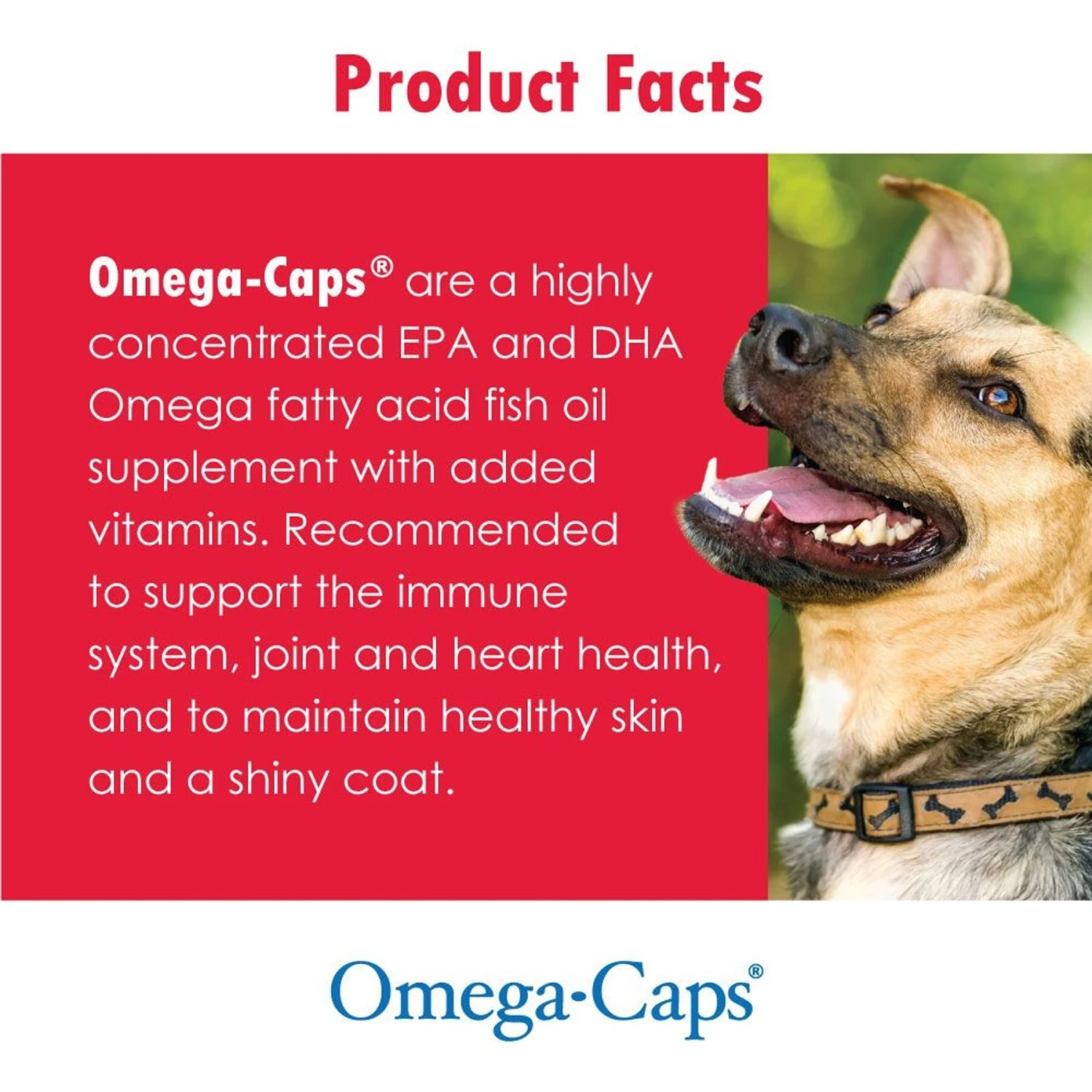 Omega-Caps ES Liquid For Dogs & Cats 7 Omega-Caps ES Liquid For Dogs & Cats - Image 7
