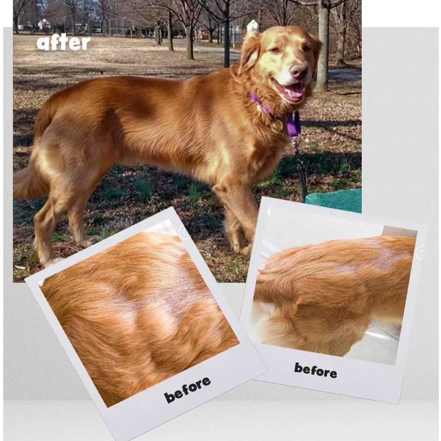 Omega-Caps HP Snip Tips For Small Dogs & Cats 4 Omega-Caps HP Snip Tips For Small Dogs & Cats - Image 4