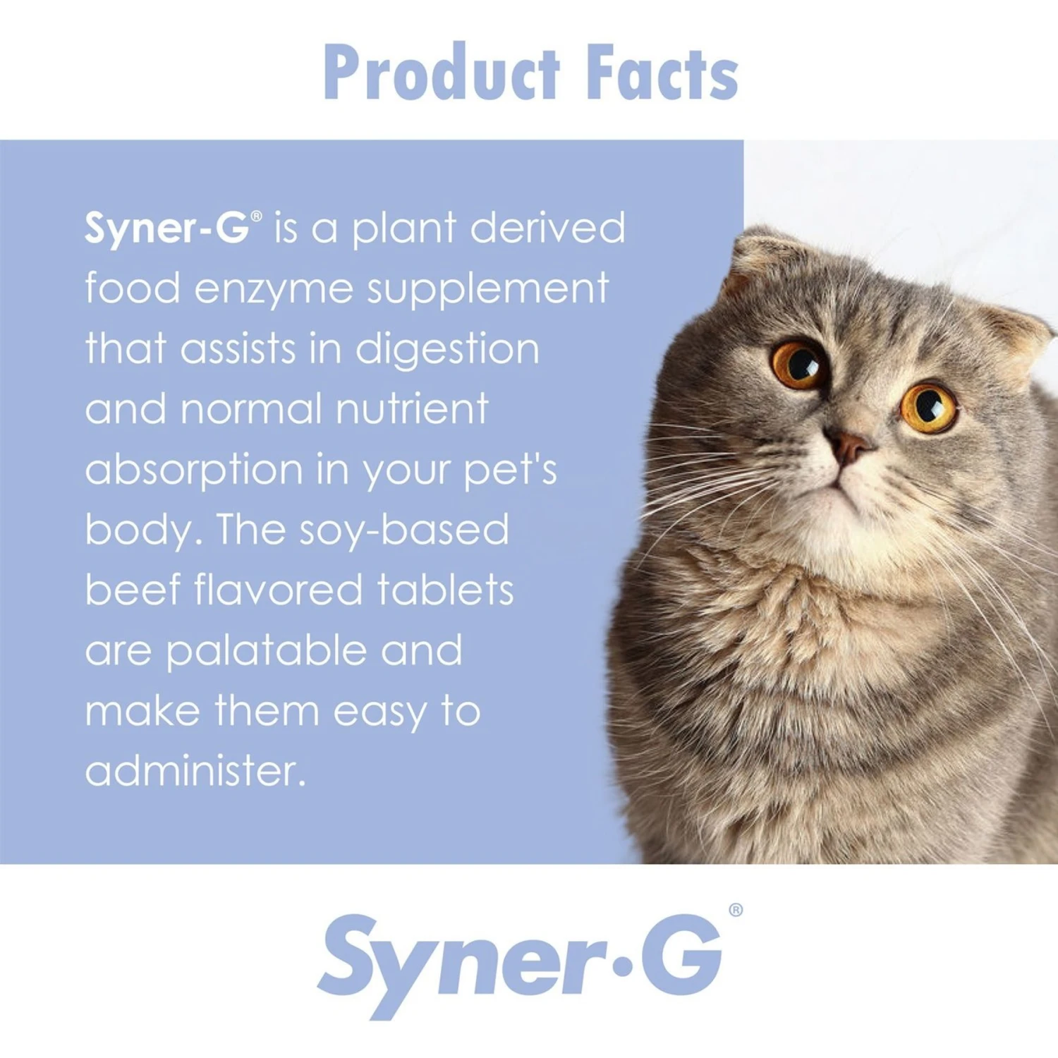 Syner-G Tablets For Dogs & Cats 7 Syner-G Tablets For Dogs & Cats - Image 7