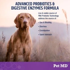 Pet MD PB6 Probiotics & Enzymes Dog Supplement, 60 Count -Pet Wellness 848150 PT2. AC SS1800 V1686141784