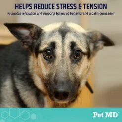 Pet MD Calming Chews Enhanced With Melatonin & Ginger Supplement For Dogs, 60 Count -Pet Wellness 848206 PT2. AC SS1800 V1686141726
