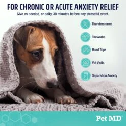 Pet MD Calming Chews Enhanced With Melatonin & Ginger Supplement For Dogs, 60 Count -Pet Wellness 848206 PT3. AC SS1800 V1686141782