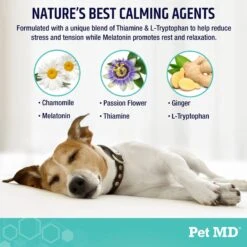Pet MD Calming Chews Enhanced With Melatonin & Ginger Supplement For Dogs, 60 Count -Pet Wellness 848206 PT4. AC SS1800 V1686141781