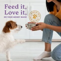 The Missing Link Ultimate Canine Senior Health Formula Dog Supplement 10 The Missing Link Ultimate Canine Senior Health Formula Dog Supplement -Pet Wellness 84948 PT3. AC SS1800 V1652469683