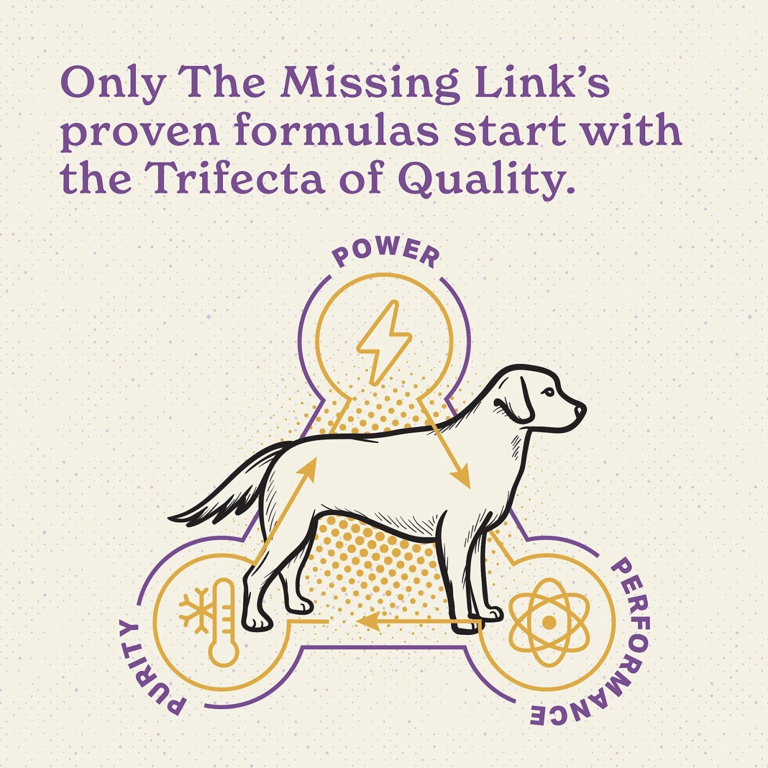 The Missing Link Ultimate Canine Senior Health Formula Dog Supplement 7 The Missing Link Ultimate Canine Senior Health Formula Dog Supplement - Image 7