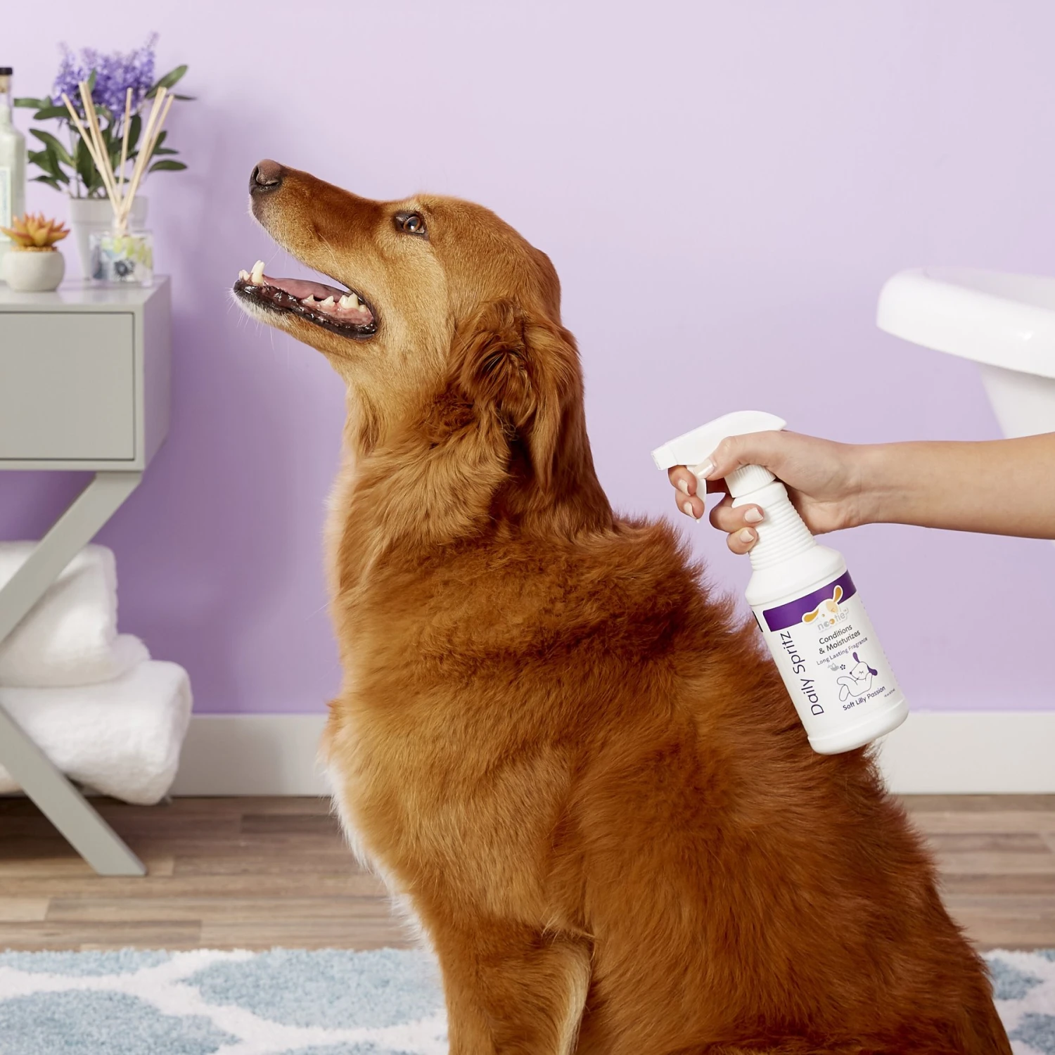 Nootie Soft Lilly Passion Daily Spritz For Dogs 4 Nootie Soft Lilly Passion Daily Spritz For Dogs - Image 4