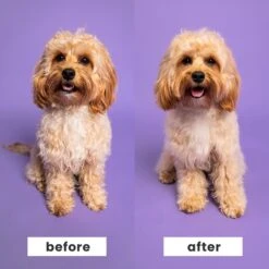 Pet Teezer Detangling Dog Grooming Brush -Pet Wellness 856462 PT3. AC SS1800 V1702071464