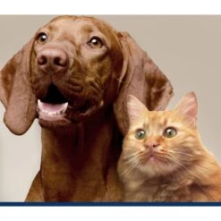 Four Paws Magic Coat Professional Series Dog & Cat Grooming Wipes, 100 Count -Pet Wellness 857134 PT7. AC SS1800 V1686160381