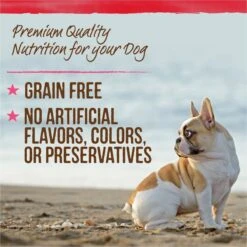 Merrick Lil Plates Petite Pates Adult Grain-Free Beef Dinner Wet Dog Food 3-oz Can, Case Of 24 -Pet Wellness 857262 PT8. AC SS1800 V1684334687