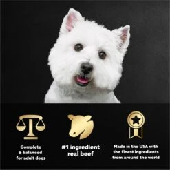 Cesar Filets In Gravy Prime Rib Adult Small Breed Wet Dog Food Trays -Pet Wellness 86063 PT4. AC SS1800 V1695666353