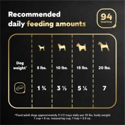 Cesar Filets In Gravy Prime Rib Adult Small Breed Wet Dog Food Trays -Pet Wellness 86063 PT6. AC SS1800 V1695750195