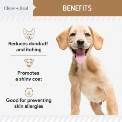 Chew + Heal Peanut Butter Omega Skin + Coat Supplement For Dogs -Pet Wellness 861230 PT3. AC SS1800 V1686679409