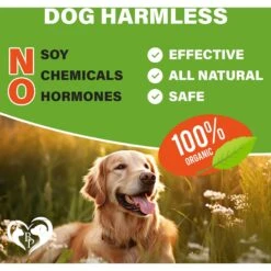 Beloved Pets Flea & Tick Prevention Chewable Pills For Dogs, 10-oz Pack -Pet Wellness 862558 PT5. AC SS1800 V1685472690