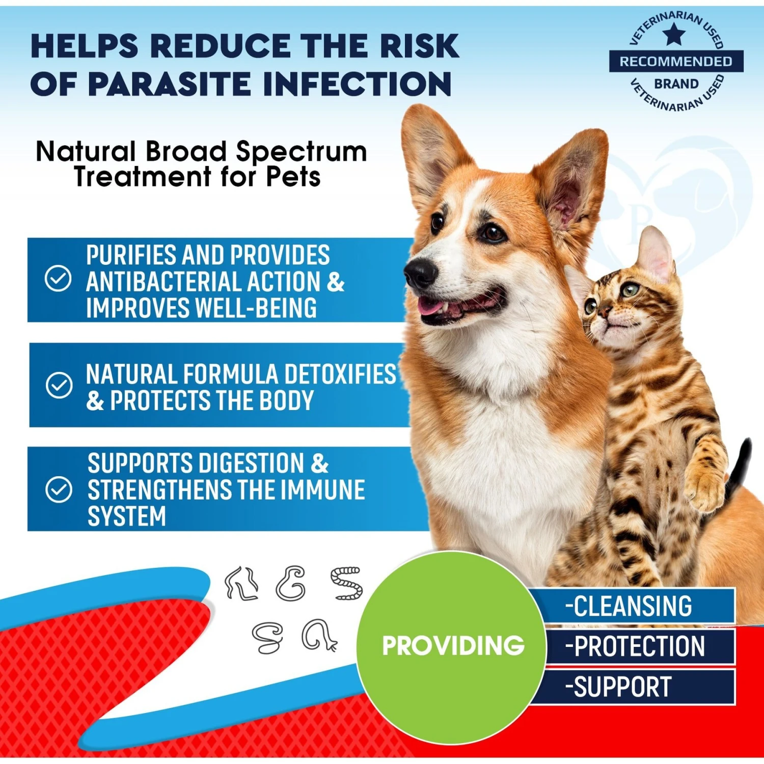Beloved Pets Liquid Herbal Medicine & Natural Broad Spectrum Treatment Dog & Cat Supplement, 2-oz Bottle 2 Beloved Pets Liquid Herbal Medicine & Natural Broad Spectrum Treatment Dog & Cat Supplement, 2-oz Bottle - Image 2