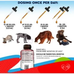 Beloved Pets Liquid Herbal Medicine & Natural Broad Spectrum Treatment Dog & Cat Supplement, 2-oz Bottle 11 Beloved Pets Liquid Herbal Medicine & Natural Broad Spectrum Treatment Dog & Cat Supplement, 2-oz Bottle -Pet Wellness 862606 PT4. AC SS1800 V1684875279