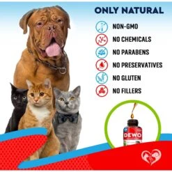 Beloved Pets Liquid Herbal Medicine & Natural Broad Spectrum Treatment Dog & Cat Supplement, 2-oz Bottle 12 Beloved Pets Liquid Herbal Medicine & Natural Broad Spectrum Treatment Dog & Cat Supplement, 2-oz Bottle -Pet Wellness 862606 PT5. AC SS1800 V1684875342