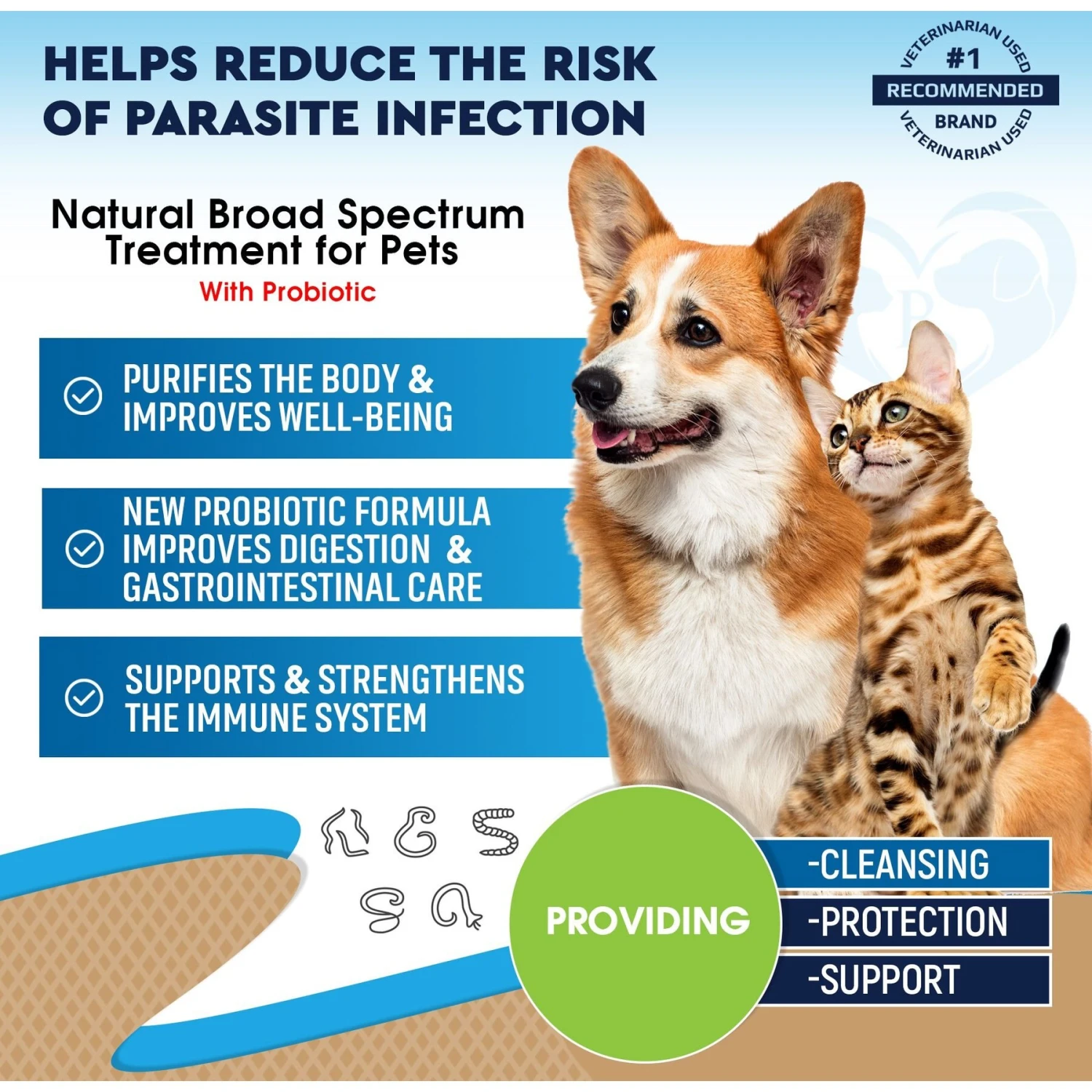 Beloved Pets Natural Worm Treatment With Probiotic & Liquid Herbal Medicine Dog & Cat Supplement, 2-oz Bottle 2 Beloved Pets Natural Worm Treatment With Probiotic & Liquid Herbal Medicine Dog & Cat Supplement, 2-oz Bottle - Image 2