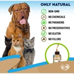 Beloved Pets Natural Worm Treatment With Probiotic & Liquid Herbal Medicine Dog & Cat Supplement, 2-oz Bottle 12 Beloved Pets Natural Worm Treatment With Probiotic & Liquid Herbal Medicine Dog & Cat Supplement, 2-oz Bottle -Pet Wellness 862654 PT5. AC SS1800 V1685525105