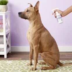 MiconaHex+Triz Spray For Dogs & Cats 10 MiconaHex+Triz Spray For Dogs & Cats -Pet Wellness 86432 PT3. AC SS1800 V1543526262