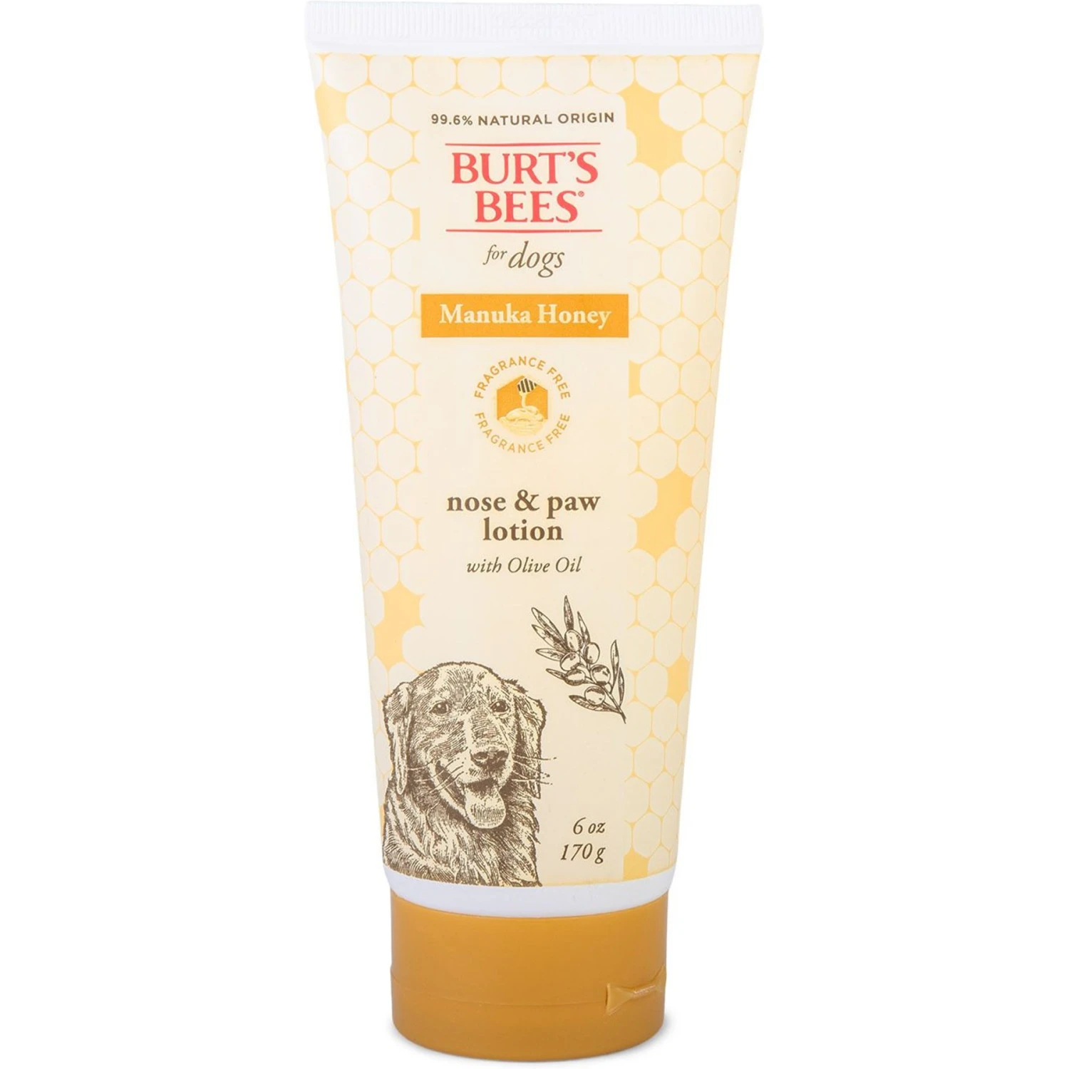 Burt's Bees Manuka Honey Paw & Nose Olive Oil Dog Lotion, 6-oz Bottle 1 Burt's Bees Manuka Honey Paw & Nose Olive Oil Dog Lotion, 6-oz Bottle